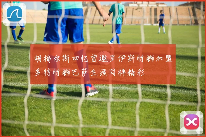 胡梅尔斯回忆曾邀罗伊斯特狮加盟多特特狮巴萨生涯同样精彩