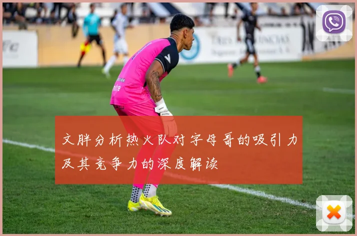 文胖分析热火队对字母哥的吸引力及其竞争力的深度解读